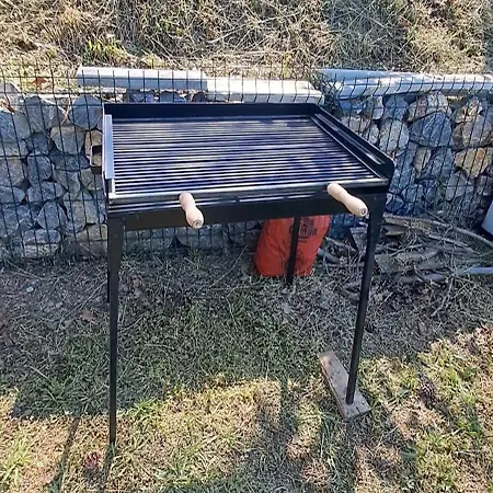 Felicita Sremski Karlovci